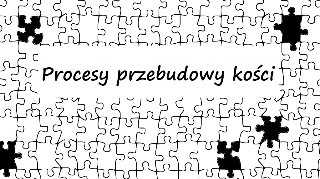 Na czym polegają procesy przebudowy kości (obrót kostny)